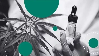 Konoplja proti CBD: Kakšna je razlika?